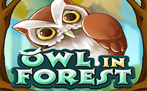 Owl In Forest ค่าย Ka gaming จาก slotxo โบนัส 100