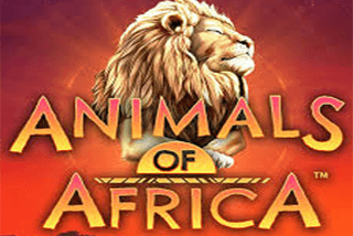 Animals-of-Africa UPG SLOT 168slotxo